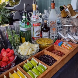 bartender e bara para eventos e festas e casamentos albatroz